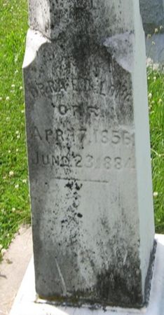 DELONG, ORRA E. 'ORR' - Louisa County, Iowa | ORRA E. 'ORR' DELONG 