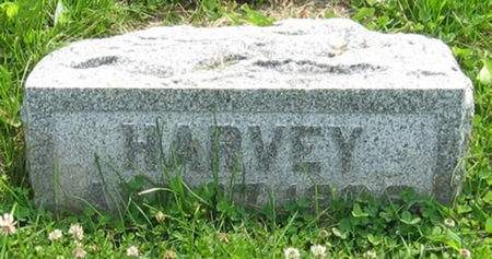 DELZELL, HARVEY - Louisa County, Iowa | HARVEY DELZELL 