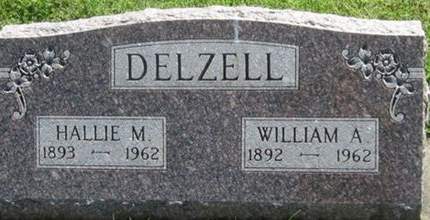 DELZELL, WILLIAM A. - Louisa County, Iowa | WILLIAM A. DELZELL 