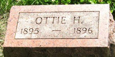 DELZELL, OTTIE H. - Louisa County, Iowa | OTTIE H. DELZELL 