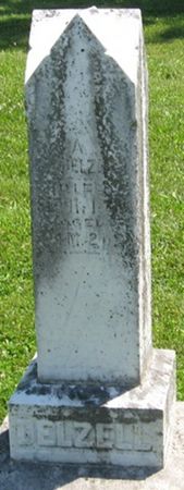 DELZELL, ROSA - Louisa County, Iowa | ROSA DELZELL 