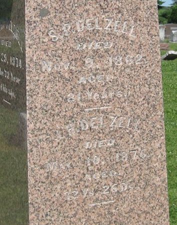 DELZELL, S. P. - Louisa County, Iowa | S. P. DELZELL 