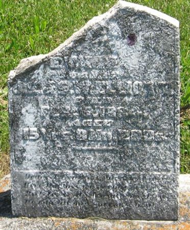 ELLIOTT, EVA M. - Louisa County, Iowa | EVA M. ELLIOTT 