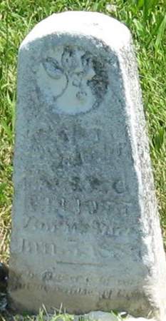 ELLIOTT, INFANT - Louisa County, Iowa | INFANT ELLIOTT 