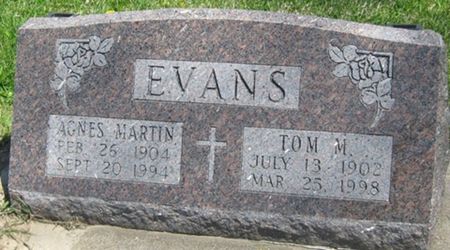 EVANS, AGNES - Louisa County, Iowa | AGNES EVANS 