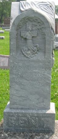 FENT, MARY J. - Louisa County, Iowa | MARY J. FENT 
