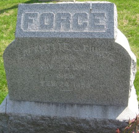 FORCE, LAFAYETTE L. - Louisa County, Iowa | LAFAYETTE L. FORCE 