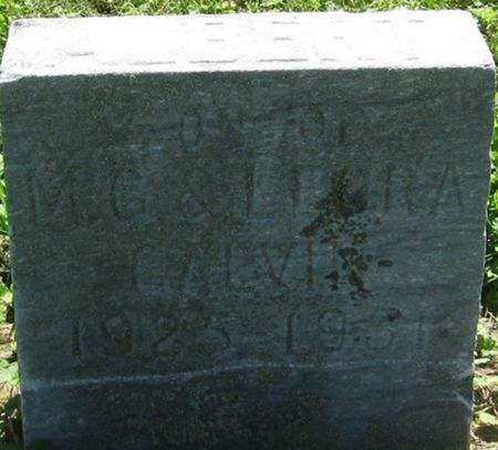 GALVIN, ALBERT - Louisa County, Iowa | ALBERT GALVIN 