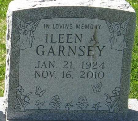 GARNSEY, ILEEN A. - Louisa County, Iowa | ILEEN A. GARNSEY 