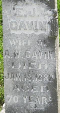 CAVIN, E. J. - Louisa County, Iowa | E. J. CAVIN 