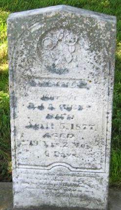 GIBBS, ATLICE - Louisa County, Iowa | ATLICE GIBBS 