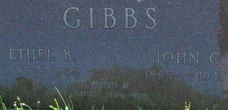 GIBBS, JOHN C. - Louisa County, Iowa | JOHN C. GIBBS 