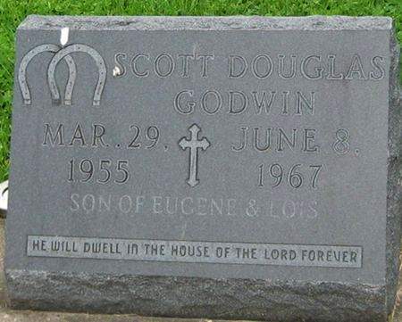 GODWN, SCOTT DOUGLAS - Louisa County, Iowa | SCOTT DOUGLAS GODWN 
