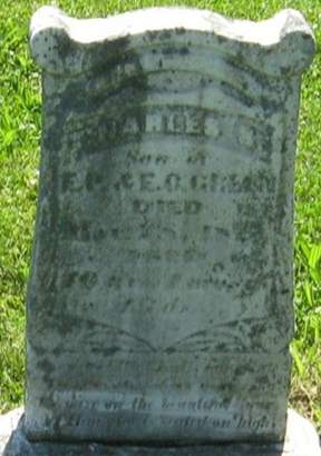 GREEN, CHARLES S. - Louisa County, Iowa | CHARLES S. GREEN 