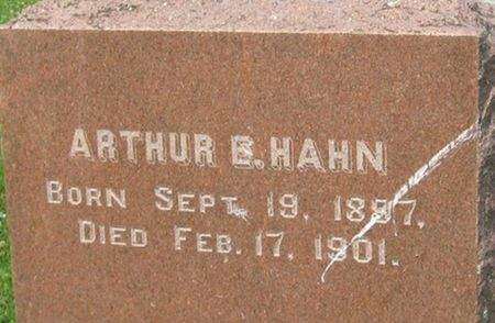 HAHN, ARTHUR E. - Louisa County, Iowa | ARTHUR E. HAHN 