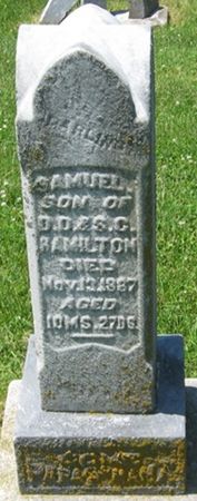 HAMILTON, SAMUEL - Louisa County, Iowa | SAMUEL HAMILTON 