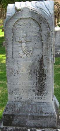 HOHENADEL, LYDIA AGNES - Louisa County, Iowa | LYDIA AGNES HOHENADEL 