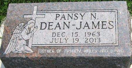 JAMES, PANSY N. - Louisa County, Iowa | PANSY N. JAMES 