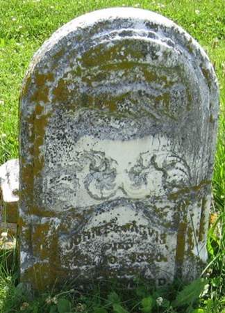 JARVIS, JOHN B. - Louisa County, Iowa | JOHN B. JARVIS 