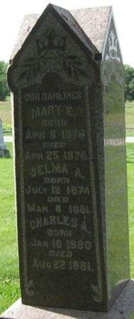 JOHNSON, MARY E. - Louisa County, Iowa | MARY E. JOHNSON 