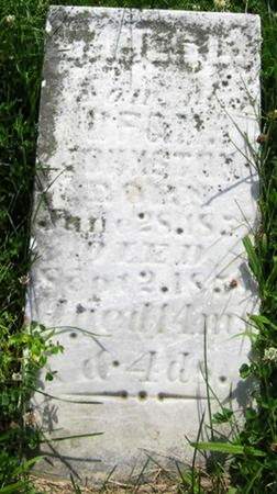 JOHNSTON, JAMES L. - Louisa County, Iowa | JAMES L. JOHNSTON 