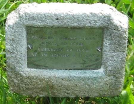 KIGER, CHARLES VIRGEL - Louisa County, Iowa | CHARLES VIRGEL KIGER 