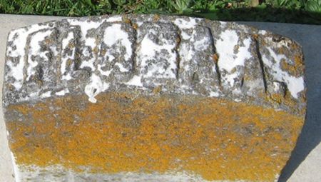 LATTA, FLORA A. - Louisa County, Iowa | FLORA A. LATTA 