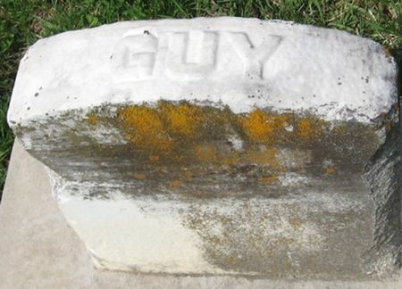 LATTA, GUY R. - Louisa County, Iowa | GUY R. LATTA 