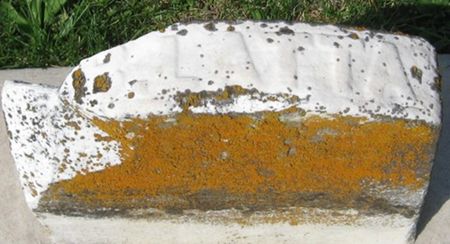 LATTA, JOHN B. - Louisa County, Iowa | JOHN B. LATTA 