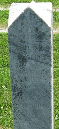 LINDER, HULDA CAROLINE - Louisa County, Iowa | HULDA CAROLINE LINDER 