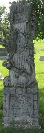 LONG, ANDREW C. - Louisa County, Iowa | ANDREW C. LONG 