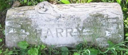 LONG, HARRY E. - Louisa County, Iowa | HARRY E. LONG 