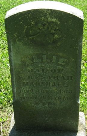 MARSHALL, ALLIE - Louisa County, Iowa | ALLIE MARSHALL 