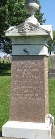 MCCAUGHAN, D. - Louisa County, Iowa | D. MCCAUGHAN 