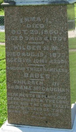 MCCAUGHAN, WILBER H. M. - Louisa County, Iowa | WILBER H. M. MCCAUGHAN 