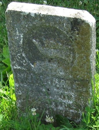 MCGREW, WILLIAM S. - Louisa County, Iowa | WILLIAM S. MCGREW 