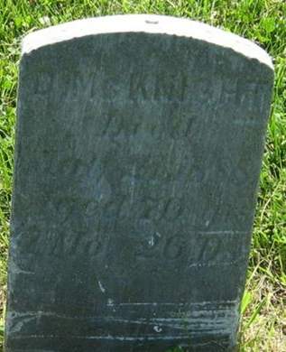 MCKNIGHT, D. - Louisa County, Iowa | D. MCKNIGHT 