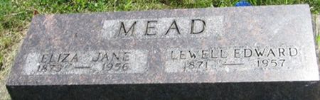 MEAD, ELIZA JANE - Louisa County, Iowa | ELIZA JANE MEAD 