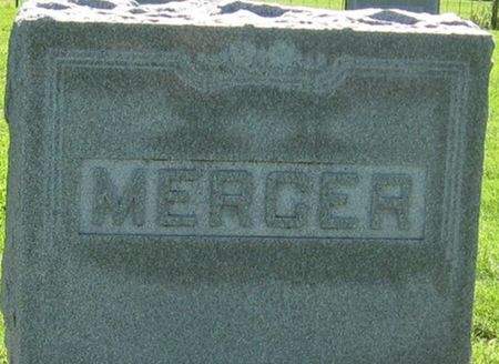 MERCER, FAMILY MONUMENT - Louisa County, Iowa | FAMILY MONUMENT MERCER 