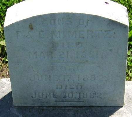 MERTZ, TWO SONS - Louisa County, Iowa | TWO SONS MERTZ 