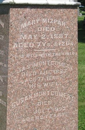 MONTGOMERY, JAMES - Louisa County, Iowa | JAMES MONTGOMERY 