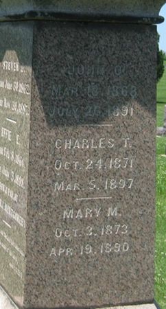 MONTGOMERY, CHARLES T. - Louisa County, Iowa | CHARLES T. MONTGOMERY 