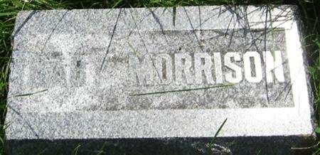 MORRISON, BABY - Louisa County, Iowa | BABY MORRISON 