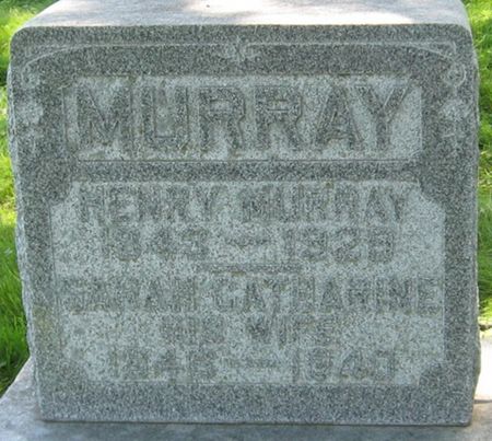 MURRAY, HENRY - Louisa County, Iowa | HENRY MURRAY 