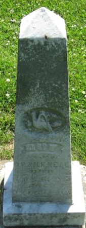 NEAL, GUY - Louisa County, Iowa | GUY NEAL 