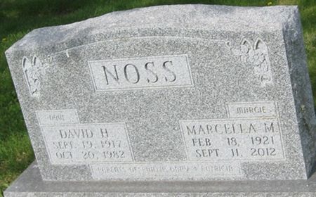 NOSS, DAVID H. - Louisa County, Iowa | DAVID H. NOSS 
