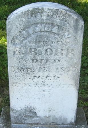 ORR, AMANDA Y. - Louisa County, Iowa | AMANDA Y. ORR 