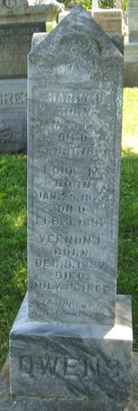 OWENS, FAMILY MONUMENT - Louisa County, Iowa | FAMILY MONUMENT OWENS 