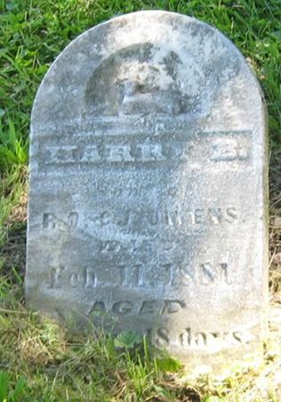 OWENS, HARRY B. - Louisa County, Iowa | HARRY B. OWENS 