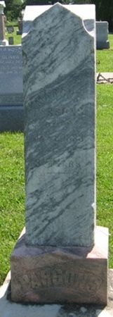 PARSONS, FAMILY MONUMENT - Louisa County, Iowa | FAMILY MONUMENT PARSONS 